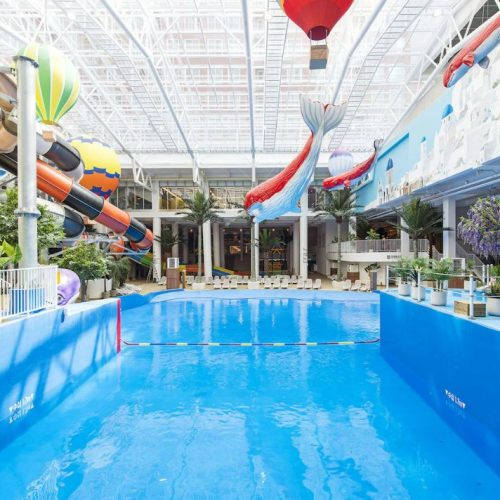 파크 하비오 호텔, 서울 송파에 위치한 도심 속 수영장호텔 추천