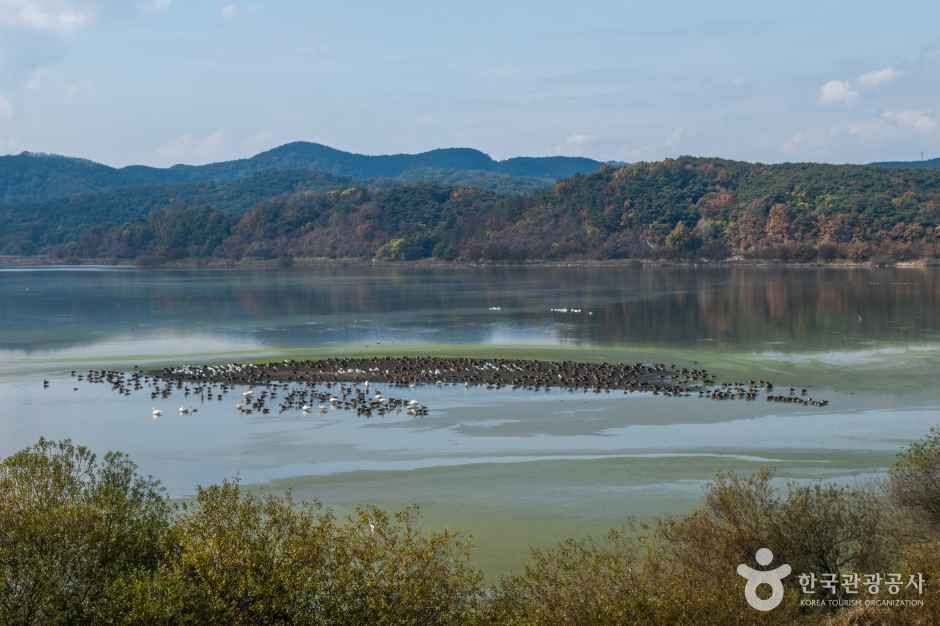 창녕스테이더담