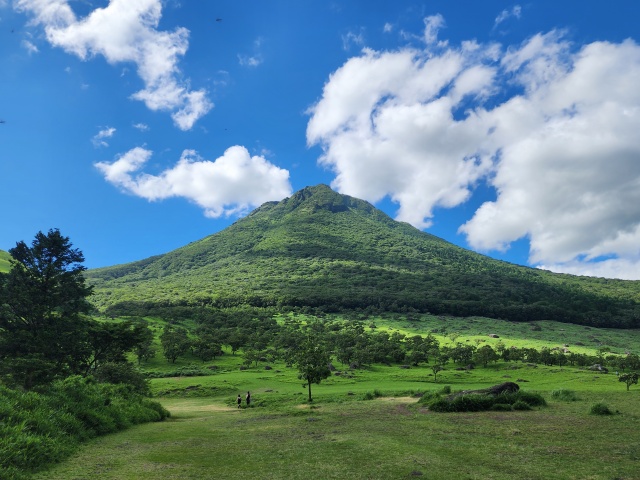 하카타엑셀호텔도큐