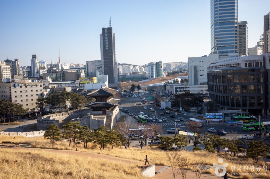 한양도성 성벽과 낮은 문루 너머로 동대문 일대 도심 도로가 내려다보인다