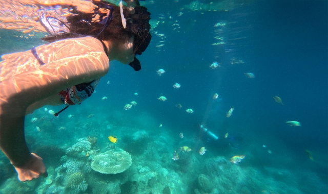 아쿠아마린 캄란 바이 스완도르