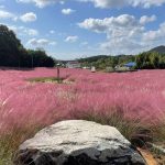 4,5월봄국내여행지추천