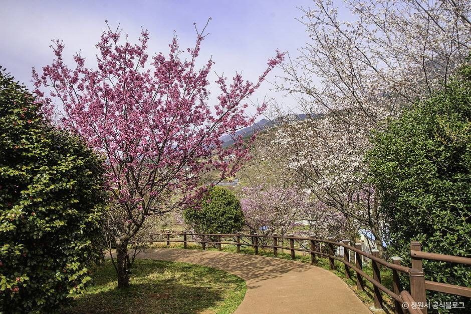 4,5월봄국내여행지추천