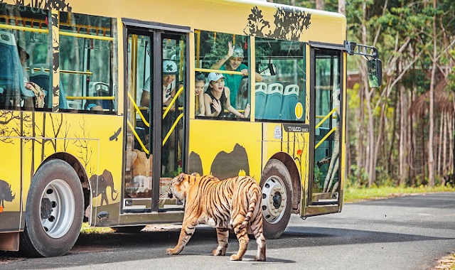 솔 바이 멜리아 푸꾸옥