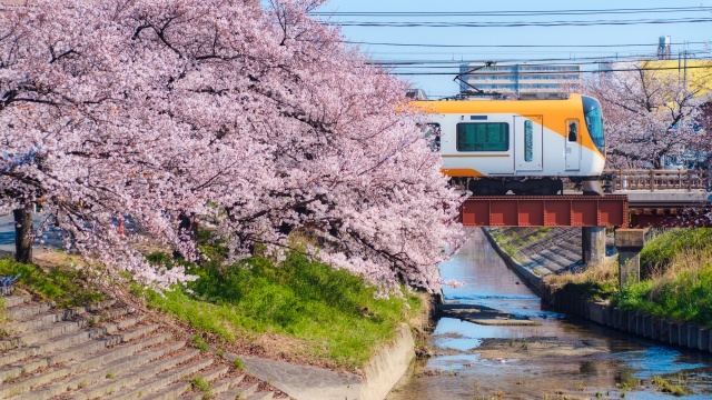 호텔아마넥오사카난바