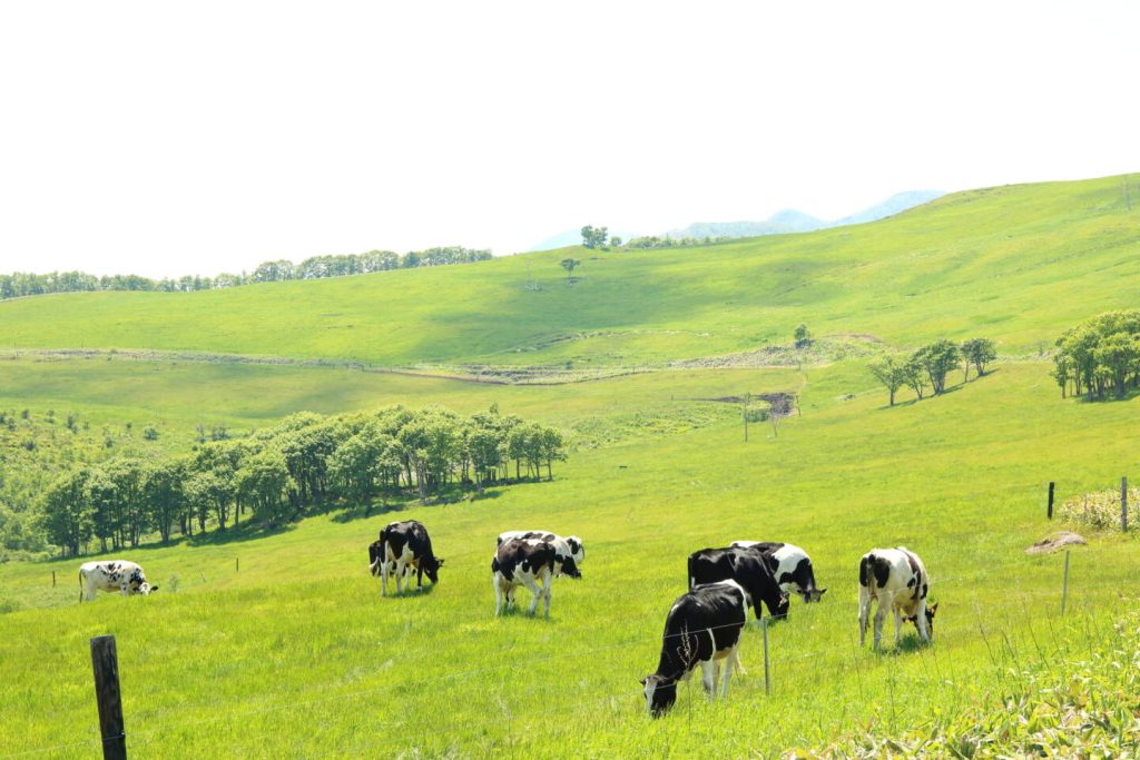 6,7월여름여행지추천