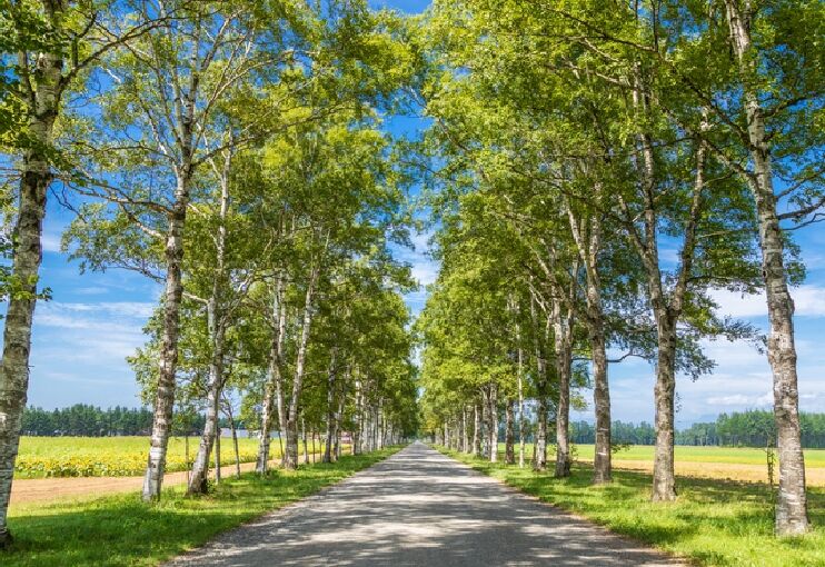 6,7월여름여행지추천