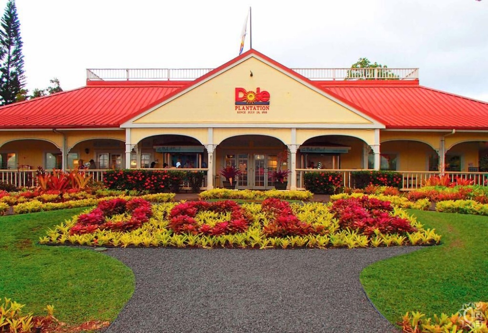 하와이가족여행호텔