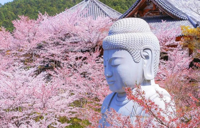 센타라그랜드호텔오사카