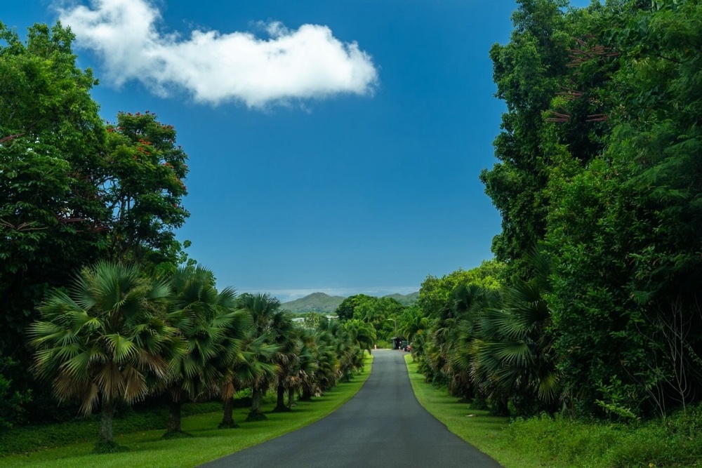 하와이가족여행호텔