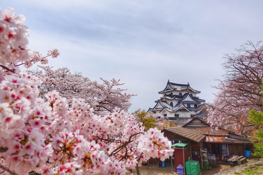 그랜드하얏트후쿠오카