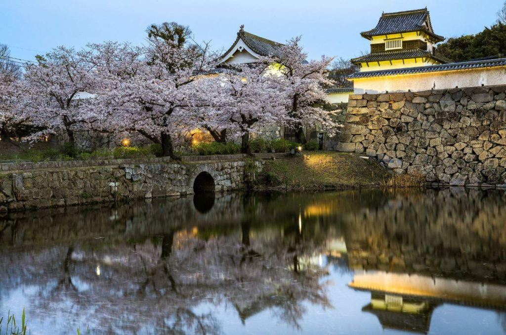 라이블리후쿠오카하카타