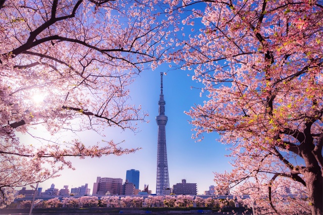 호텔 몬토레 긴자