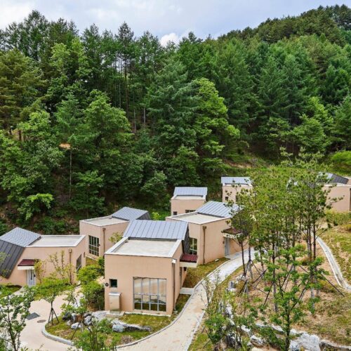 많이 걷지 않아도 되는 자연 여행, 숲을 쓰는 방식이 다른 숙소 3곳